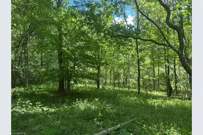 248 Wiley Reynolds Road, Millers Creek, NC 28651 - Photo 21