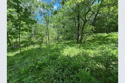 248 Wiley Reynolds Road, Millers Creek, NC 28651 - Photo 23