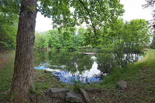 1984 Horseshoe Road, Westfield, NC 27053 - Photo 15
