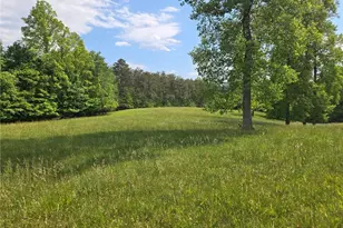1984 Horseshoe Road, Westfield, NC 27053 - Photo 45