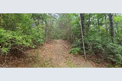 000 Wild Turkey Road, Ferguson, NC 28624 - Photo 7