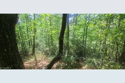 000 Wild Turkey Road, Ferguson, NC 28624 - Photo 5