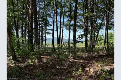 186 Fisher Valley Road, Dobson, NC 27017 - Photo 33