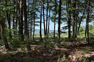 186 Fisher Valley Rd, Dobson, NC 27017 - Photo 33