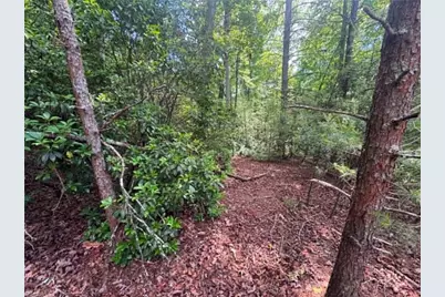 Lot 19 Fawn Lane, Hayes, NC 28635 - Photo 5