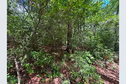 Lot 19 Fawn Lane, Hayes, NC 28635 - Photo 13