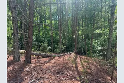 Lot 19 Fawn Lane, Hayes, NC 28635 - Photo 3