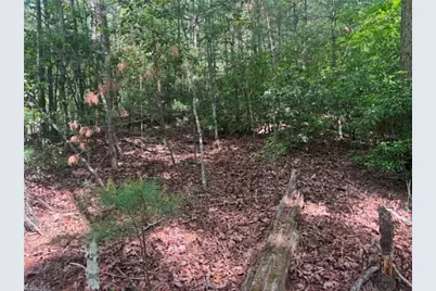 Lot 19 Fawn Lane, Hayes, NC 28635 - Photo 17