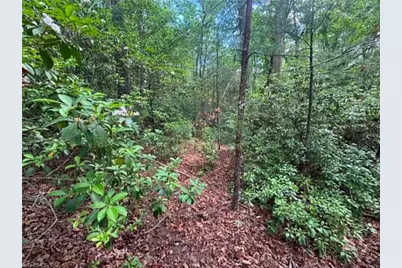 Lot 19 Fawn Lane, Hayes, NC 28635 - Photo 11