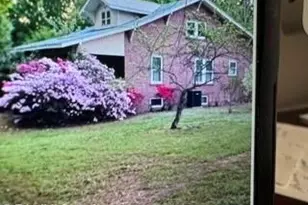 [Address not provided], Liberty, NC 27298 - Photo 3