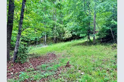 332 Mille Run Street, North Wilkesboro, NC 28659 - Photo 37