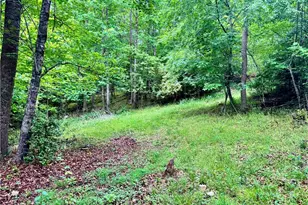 332 Mille Run St, North Wilkesboro, NC 28659 - Photo 37