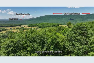 615 Phillips Gap Road, Purlear, NC 28665 - Photo 5