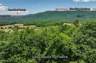 615 Phillips Gap Rd, Purlear, NC 28665 - Photo 5