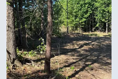 000 Parks Ridge Road, Wilkesboro, NC 28697 - Photo 5