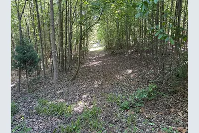 000 Parks Ridge Road, Wilkesboro, NC 28697 - Photo 7