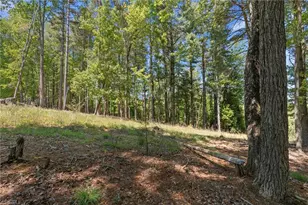 154 Folger Rd, Sparta, NC 28675 - Photo 27