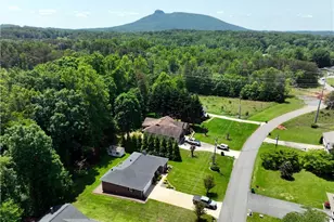 516 Lynchburg Rd, Pilot Mountain, NC 27041 - Photo 5