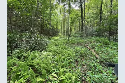 0000 N Old Nc Highway 16, Millers Creek, NC 28651 - Photo 1