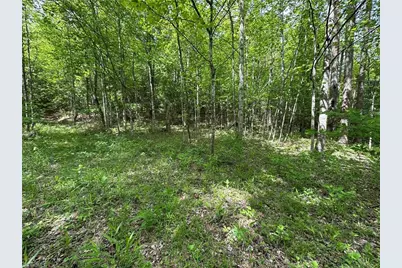 0000 N Old Nc Highway 16, Millers Creek, NC 28651 - Photo 37