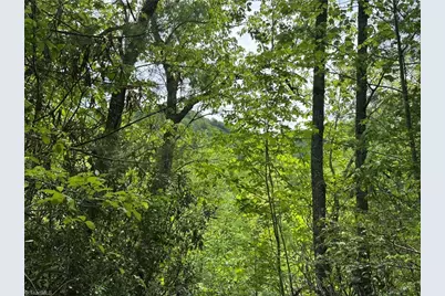 0000 N Old Nc Highway 16, Millers Creek, NC 28651 - Photo 27