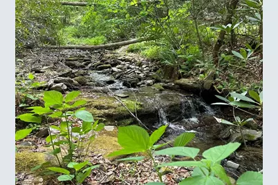 0000 N Old Nc Highway 16, Millers Creek, NC 28651 - Photo 23