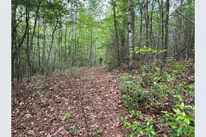 0000 N Old Nc Highway 16, Millers Creek, NC 28651 - Photo 35