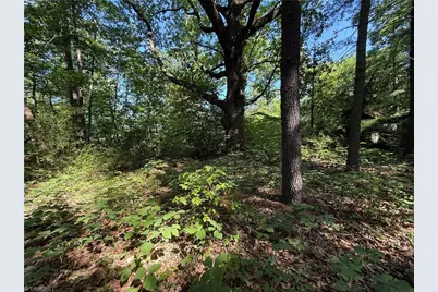607 Kirby Road, King, NC 27021 - Photo 11