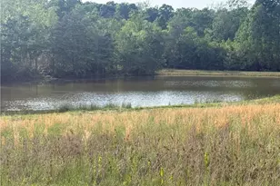 00 Amostown Rd, Sandy Ridge, NC 27046 - Photo 1