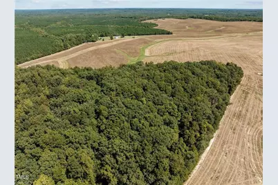17.03 Ac 0 New Mayo Drive, Roxboro, NC 27574 - Photo 5