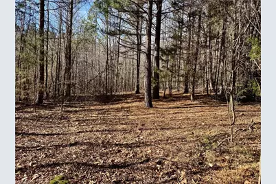 11901 Nc Highway 86, Prospect Hill, NC 27314 - Photo 7