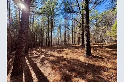 11901 Nc Highway 86, Prospect Hill, NC 27314 - Photo 3