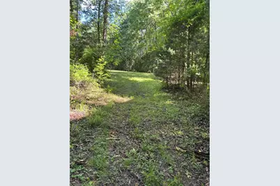 3168 Benny Lineberry Road, Climax, NC 27233 - Photo 49