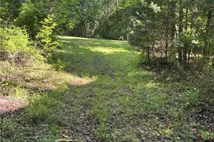3168 Benny Lineberry Rd, Climax, NC 27233 - Photo 49