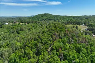 1536 Lucy Bell Rd, Crumpler, NC 28617 - Photo 43