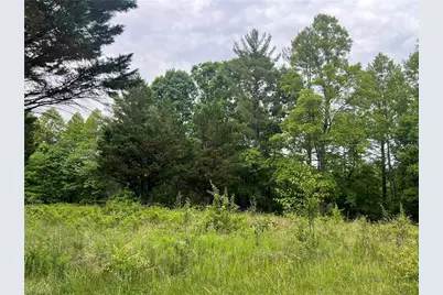 160 Oak Acres Lane, Mount Airy, NC 27030 - Photo 3