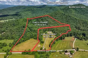 1335 Shingle Gap Rd, Purlear, NC 28665 - Photo 3