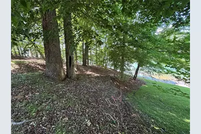 145 Beacon Ridge Drive, Stony Point, NC 28678 - Photo 11