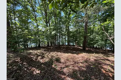 145 Beacon Ridge Drive, Stony Point, NC 28678 - Photo 7