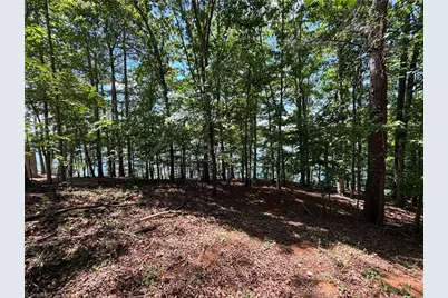 145 Beacon Ridge Drive, Stony Point, NC 28678 - Photo 5