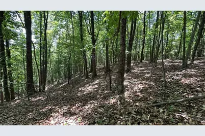 000 Idlewild Drive, Hays, NC 28635 - Photo 7