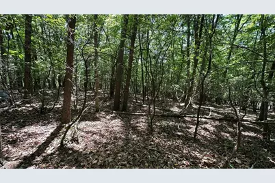 000 Idlewild Drive, Hays, NC 28635 - Photo 15