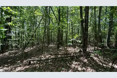 000 Idlewild Drive, Hays, NC 28635 - Photo 21