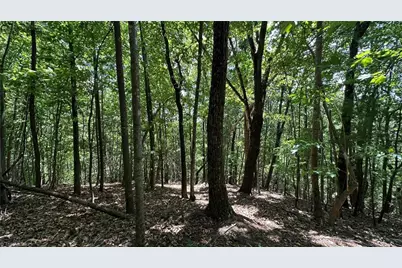 000 Idlewild Drive, Hays, NC 28635 - Photo 23