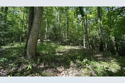 000 Idlewild Drive, Hays, NC 28635 - Photo 13
