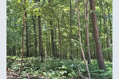 808 Neely Road, Asheboro, NC 27205 - Photo 15