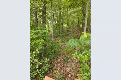 335 Healing Springs Drive, Denton, NC 27239 - Photo 3