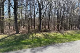 367 Healing Springs Dr, Denton, NC 27239 - Photo 1