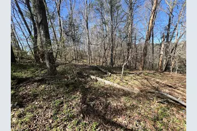 0 Shepherds Farm Road, North Wilkesboro, NC 28659 - Photo 1