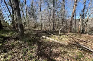 295 Shepherds Farm Rd, North Wilkesboro, NC 28659 - Photo 1